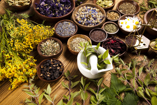 Fitoterapia